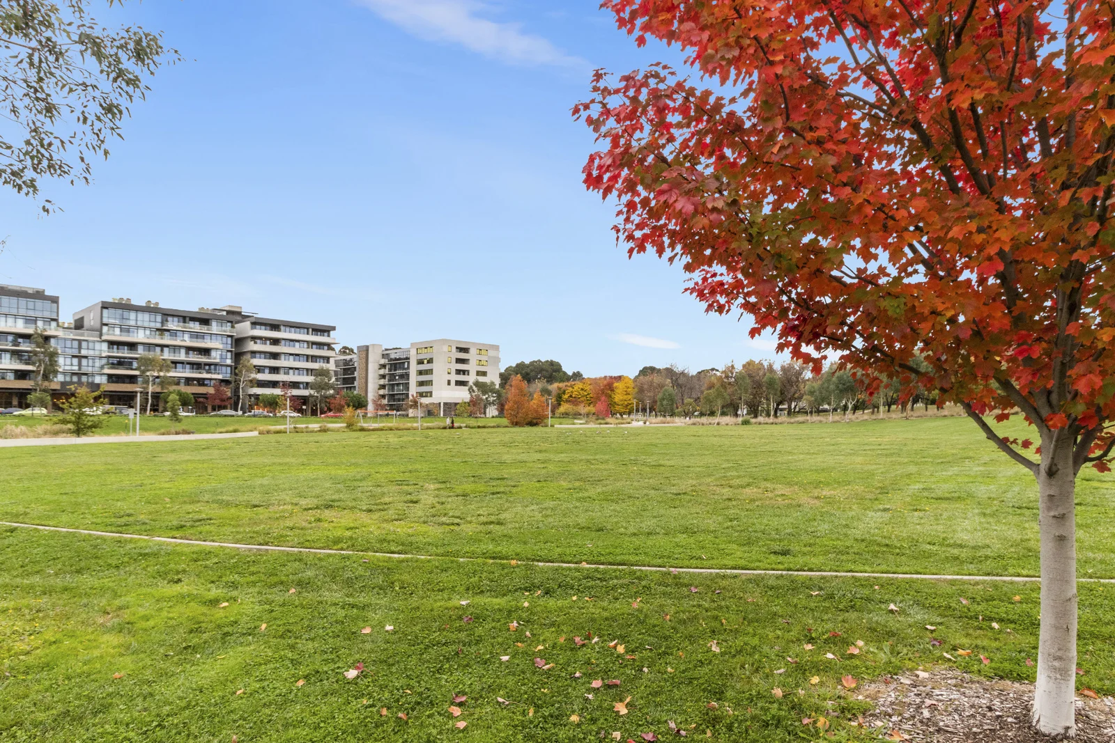 Photo of 325/2 Anzac Park, Campbell ACT 2612