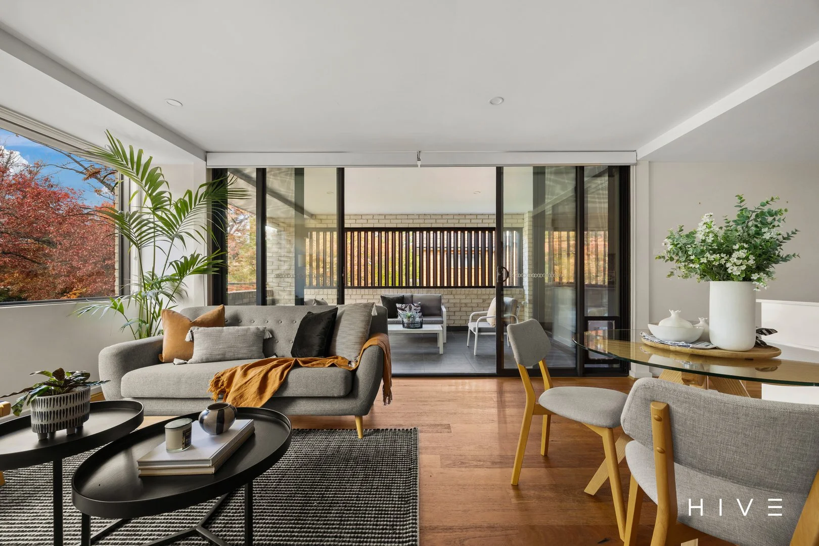 Photo of 4/79 Torrens Street, Braddon ACT 2612