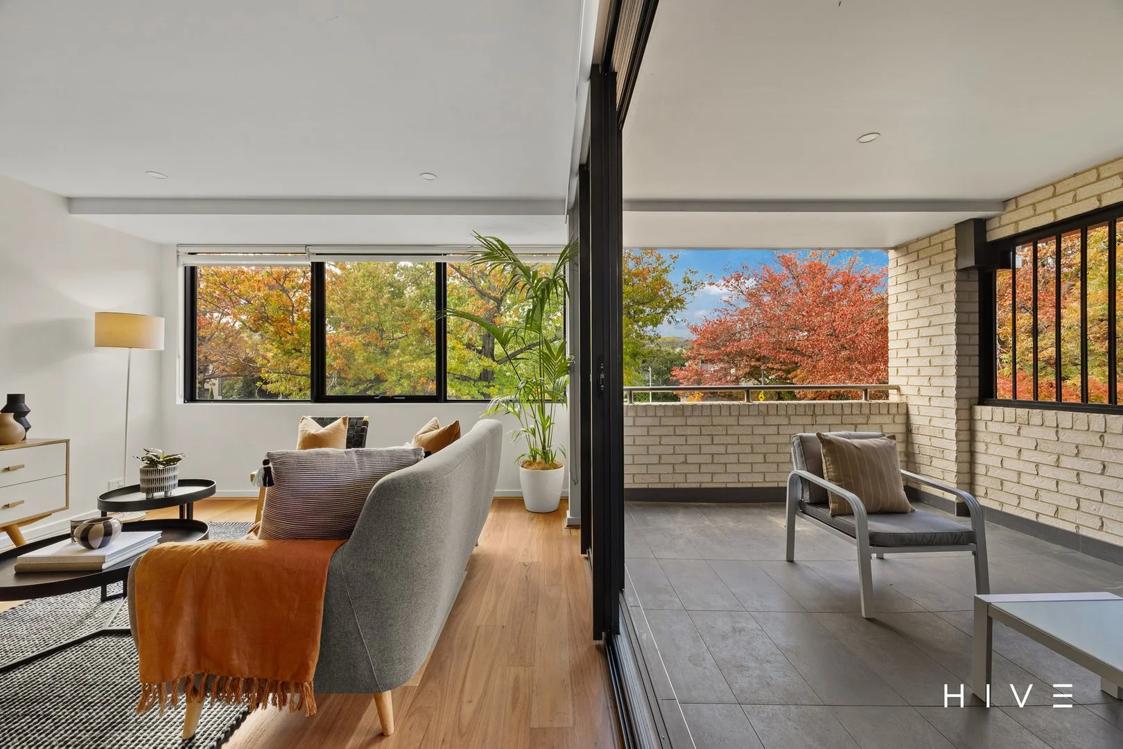 Photo of 4/79 Torrens Street, Braddon ACT 2612