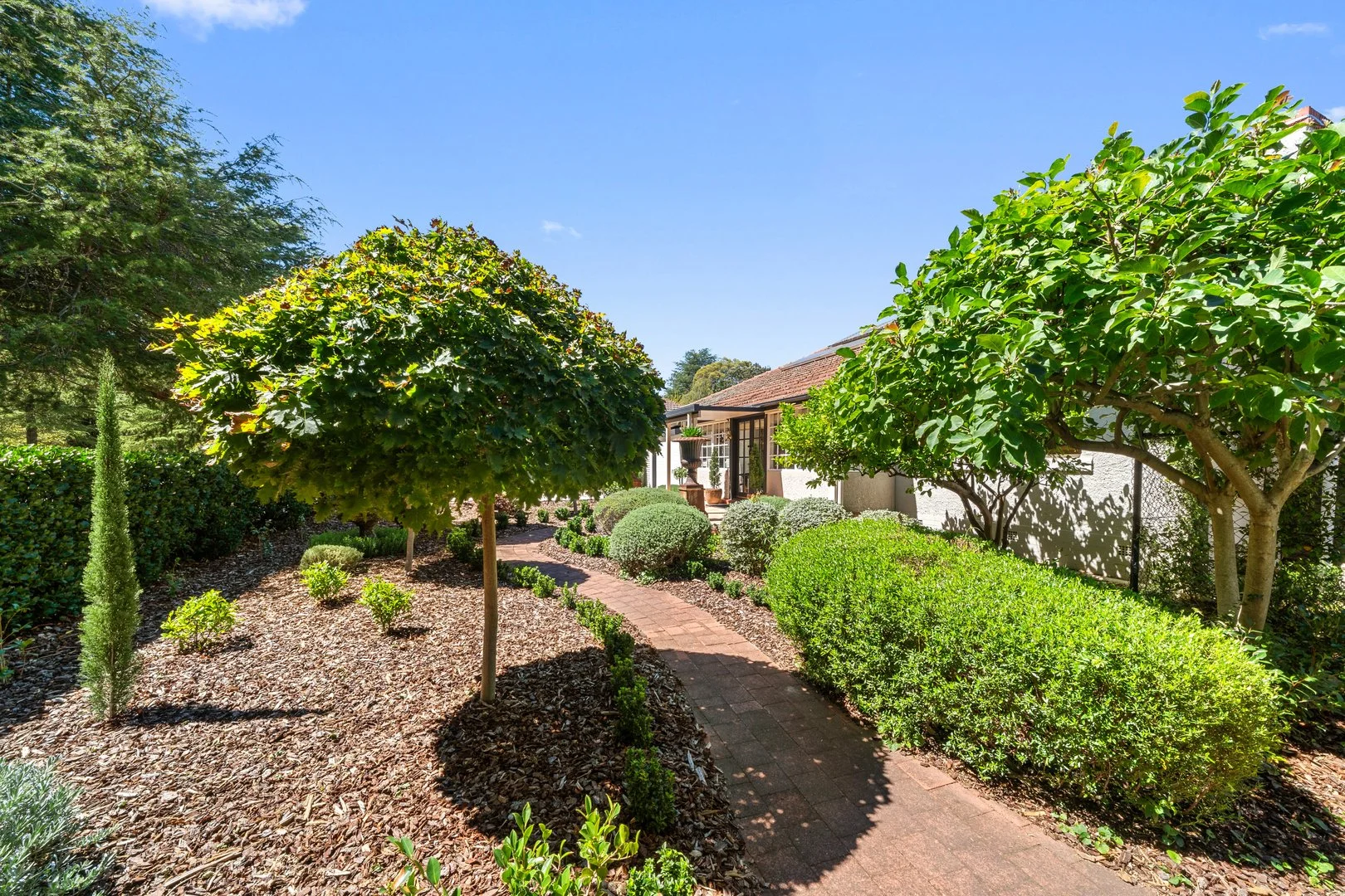 Photo of 50 Girrahween Street, Braddon ACT 2612
