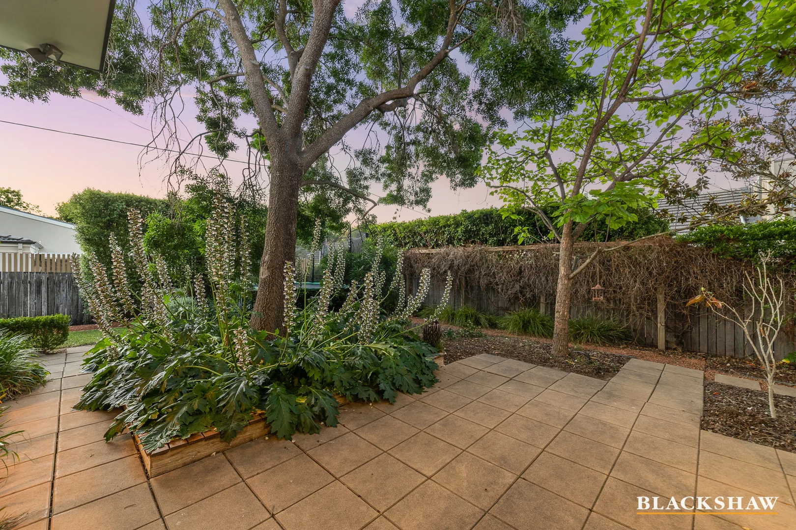 Photo of 31 Novar Street, Yarralumla ACT 2600