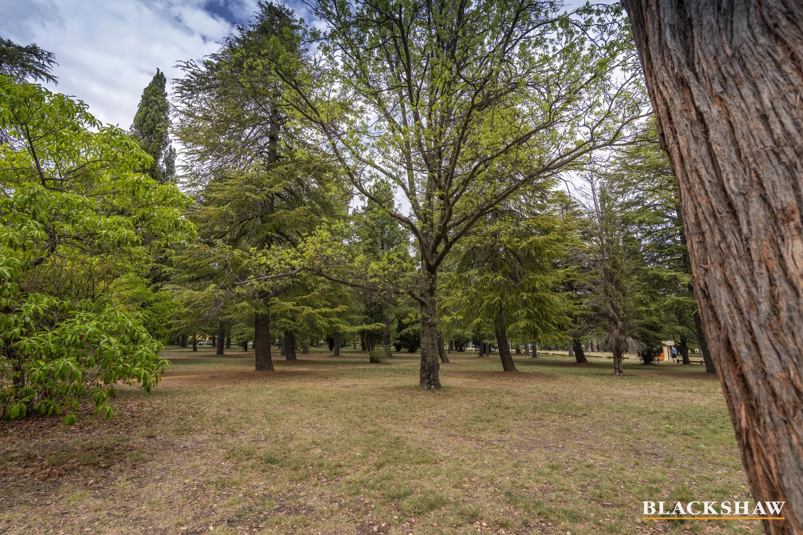 Photo of 7/42 Henty Street, Braddon ACT 2612