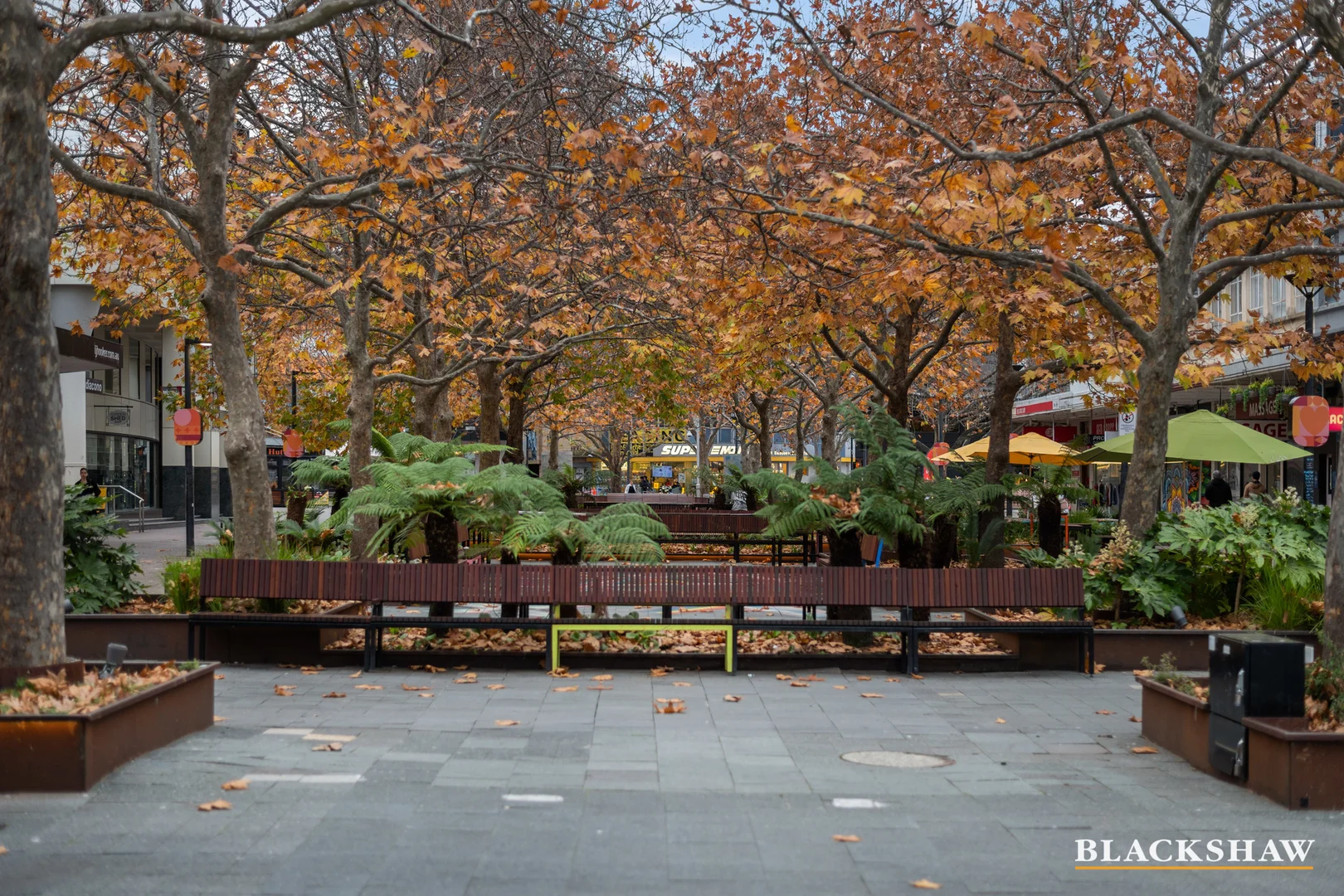 Photo of 68/43 Constitution Avenue, Reid ACT 2612