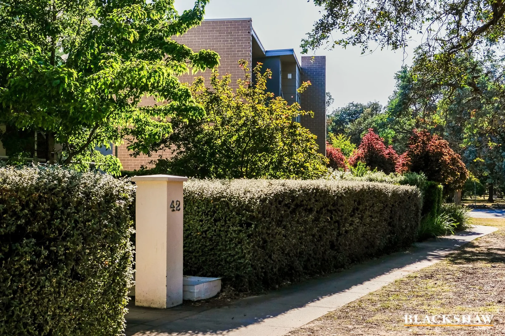 Photo of 2/42 Henty Street, Braddon ACT 2612