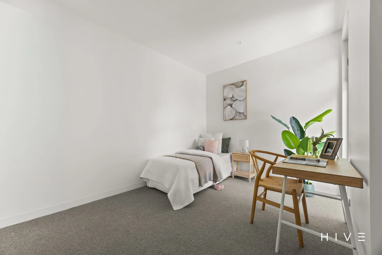 Photo of 66 Wattle Street, Lyneham ACT 2602