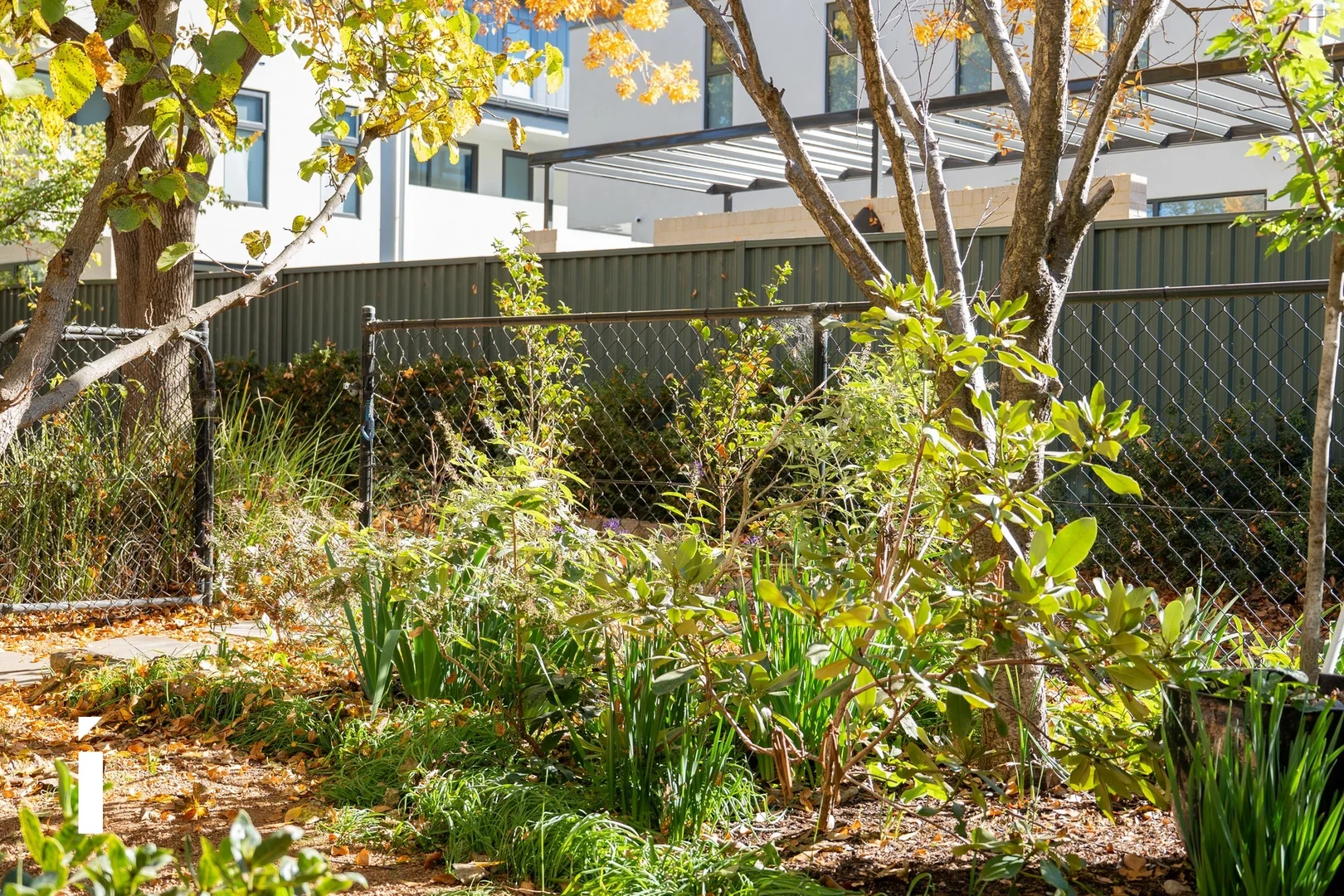 Photo of 2/12 Condamine Street, Turner ACT 2612