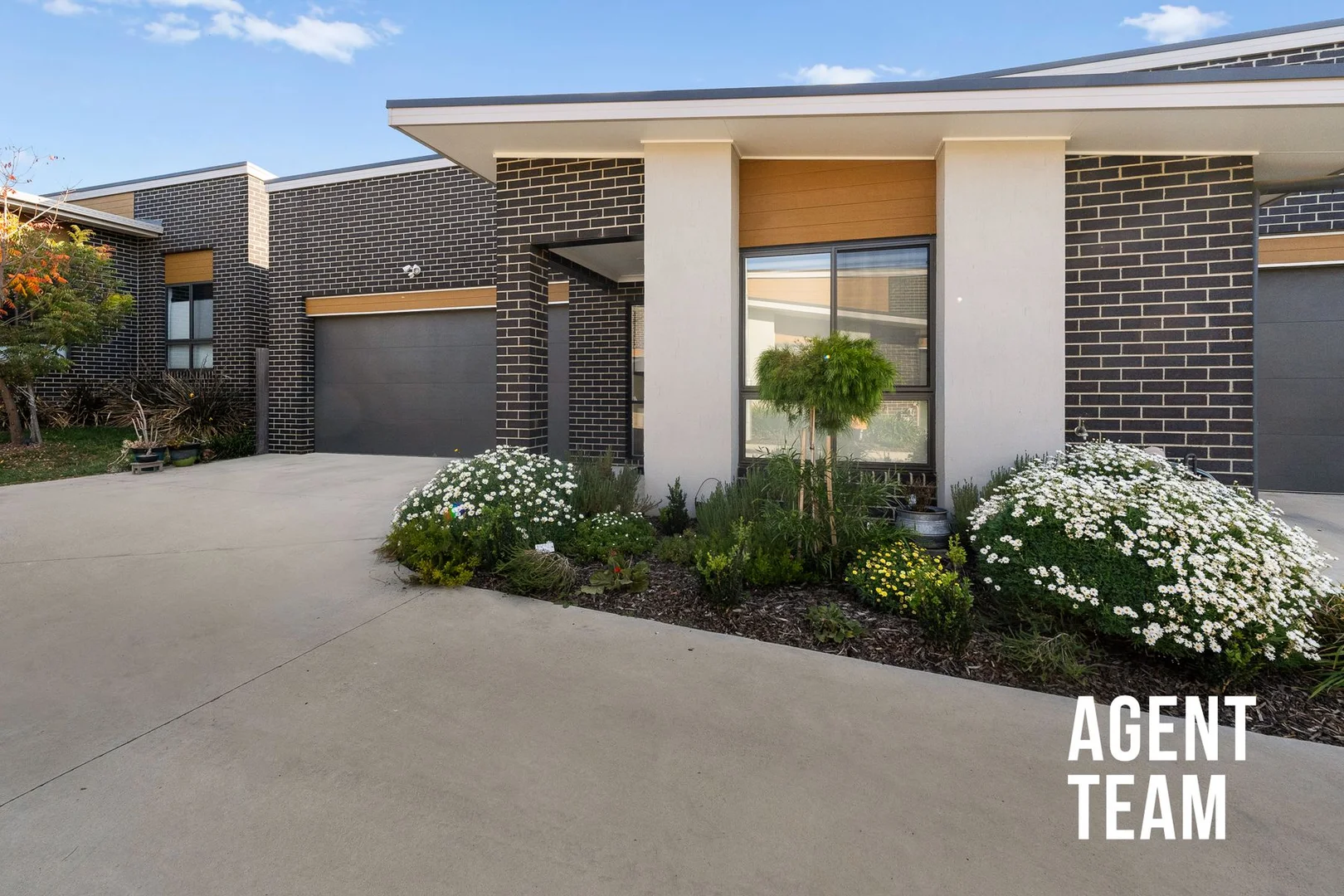 Photo of 9/49 Fullston Way, Holt ACT 2615
