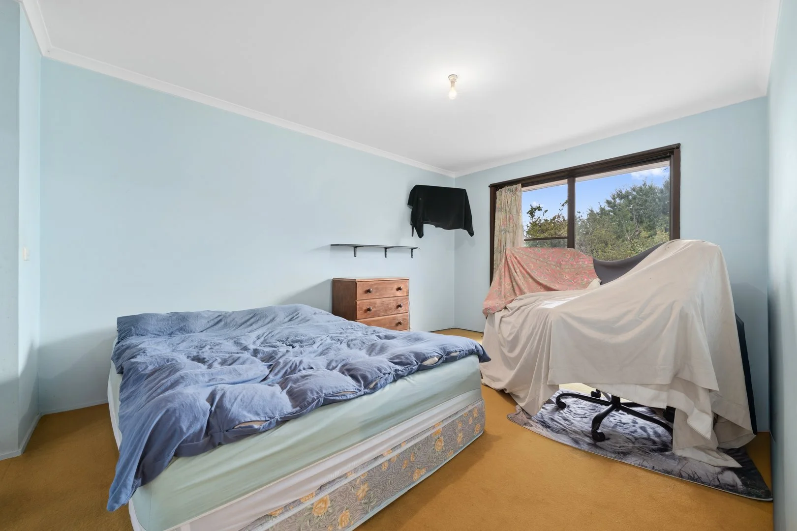 Photo of 43 Mceachern Crescent, Melba ACT 2615
