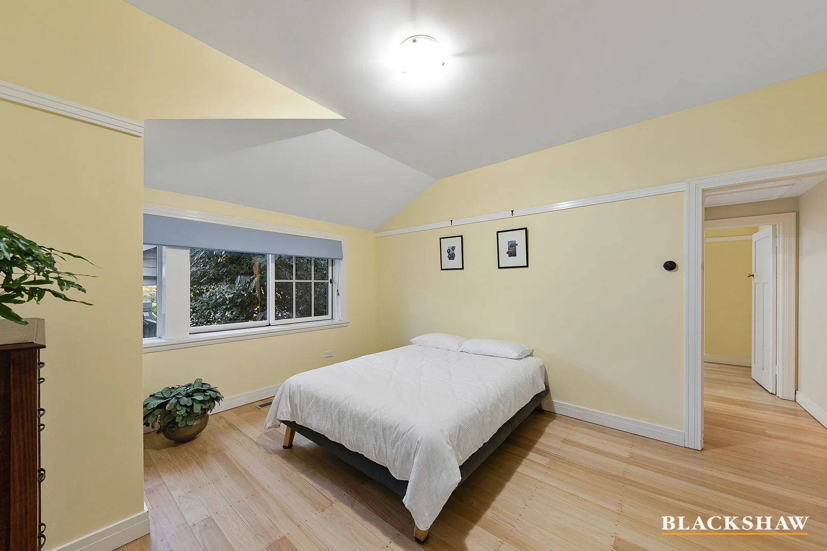 Photo of 68 Coranderrk Street, Reid ACT 2612