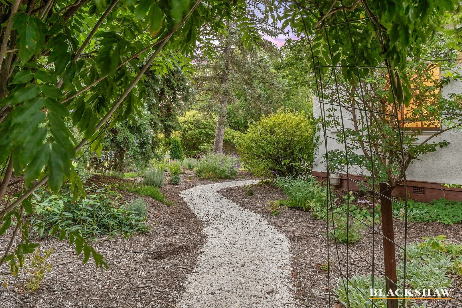 Photo of 68 Coranderrk Street, Reid ACT 2612