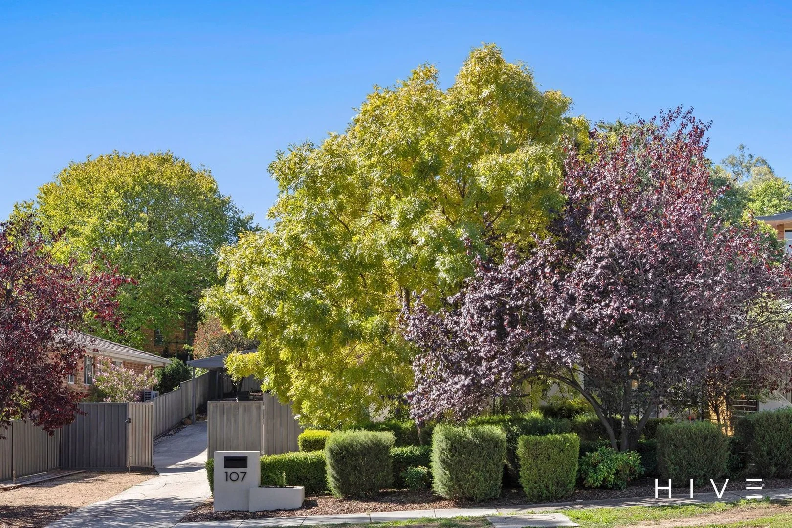 Photo of 107 Jim Pike Avenue, Gordon ACT 2906