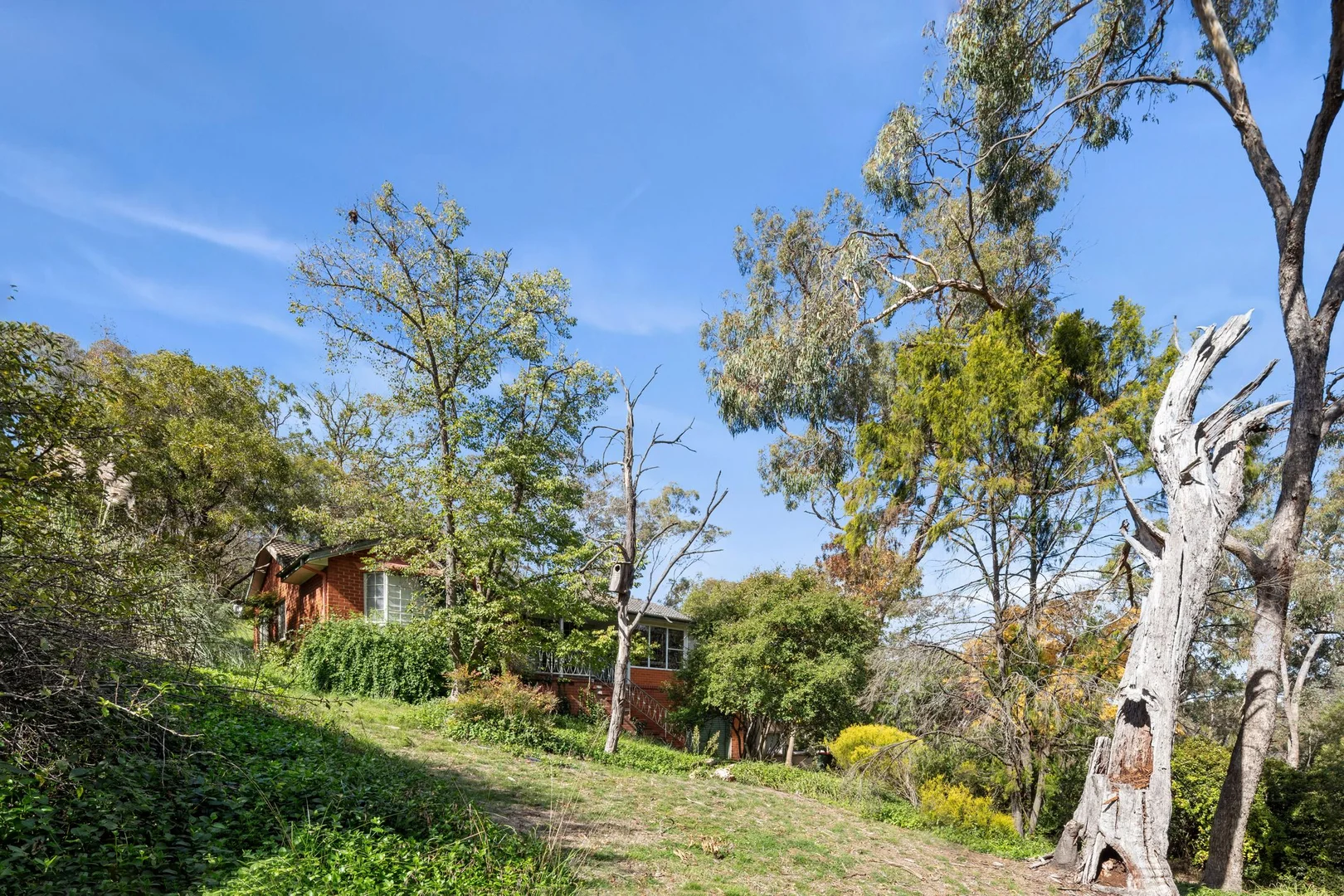 Photo of 136 Dryandra Street, O'Connor ACT 2602