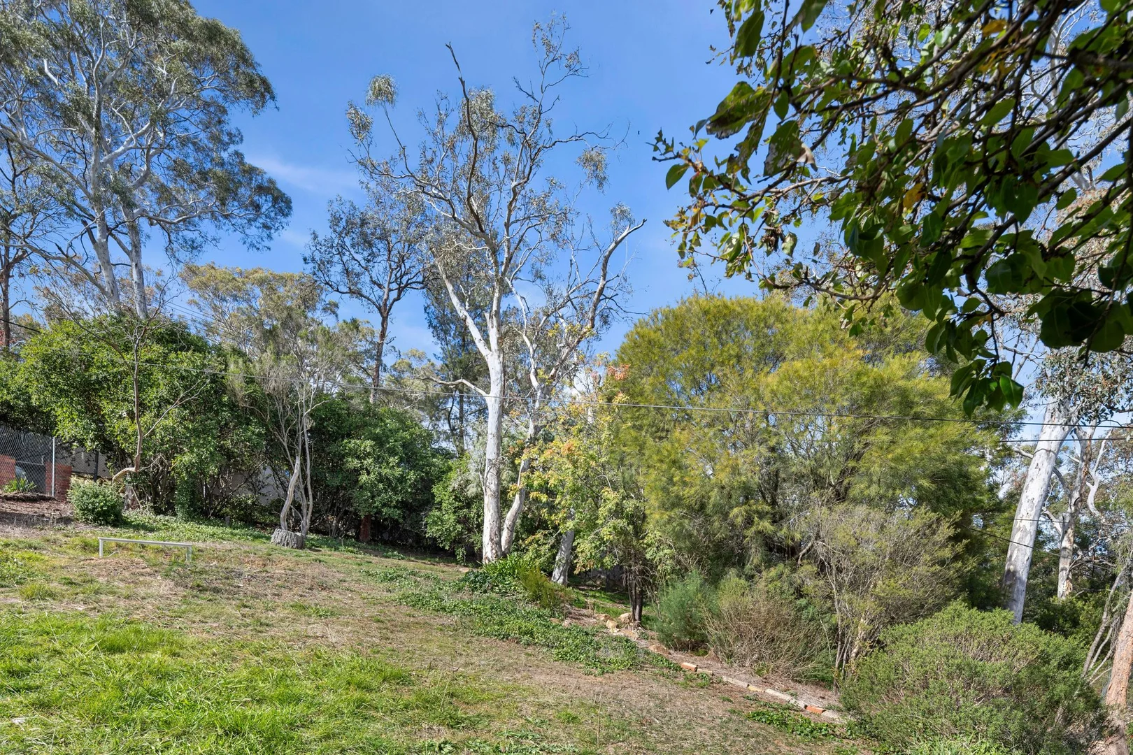 Photo of 136 Dryandra Street, O'Connor ACT 2602