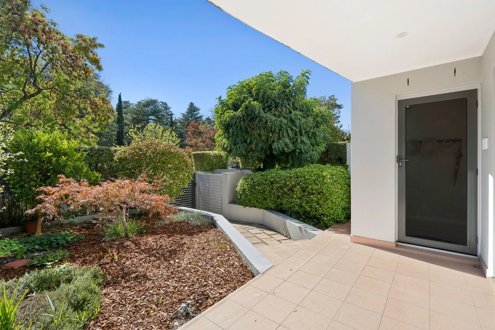 Photo of 20 Masson Street, Turner ACT 2612