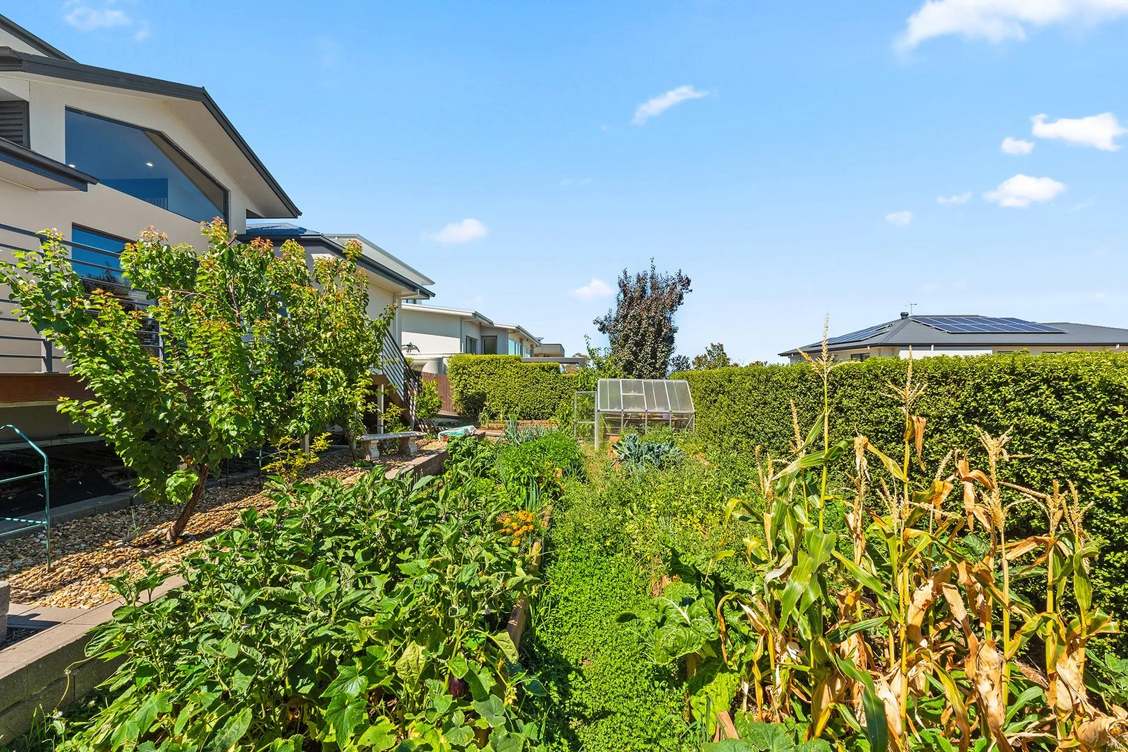 Photo of 6 Temple Terrace, Denman Prospect ACT 2611