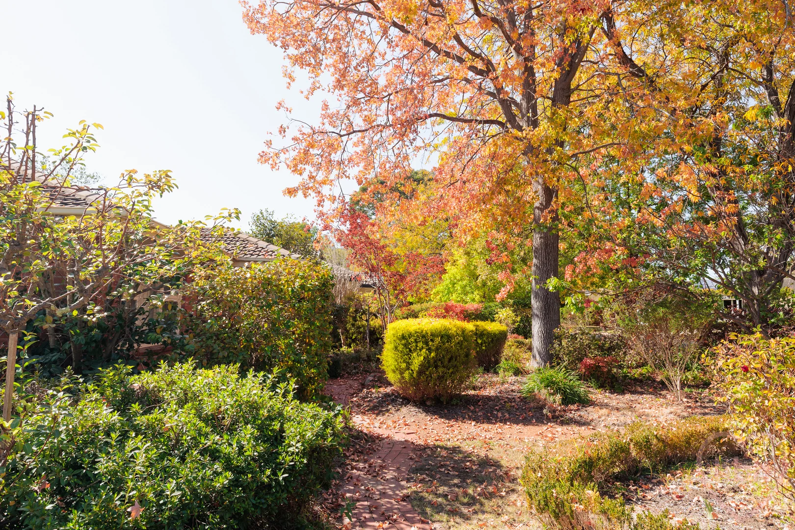 Photo of 16 Ryan Street, Curtin ACT 2605