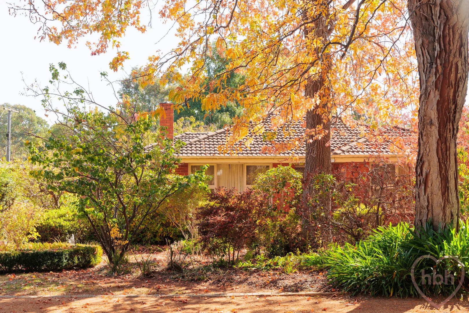 Photo of 16 Ryan Street, Curtin ACT 2605