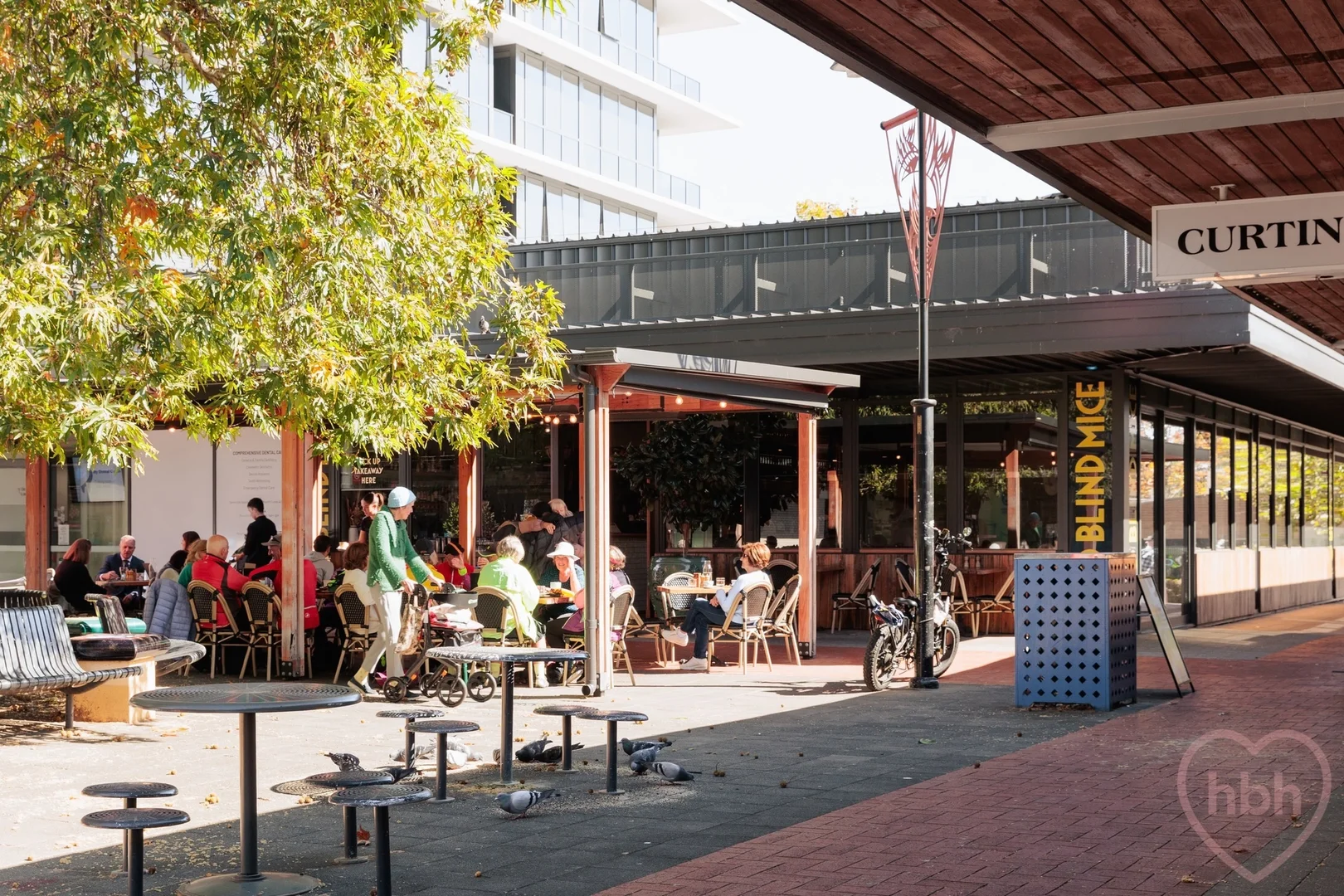 Photo of 16 Ryan Street, Curtin ACT 2605