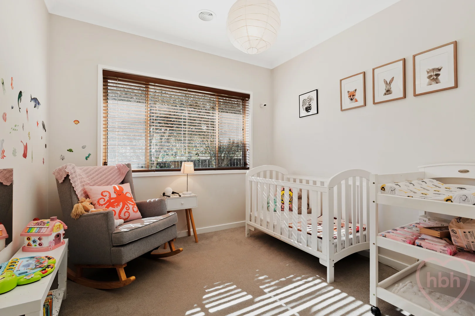 Photo of 39B Legge Street, Downer ACT 2602