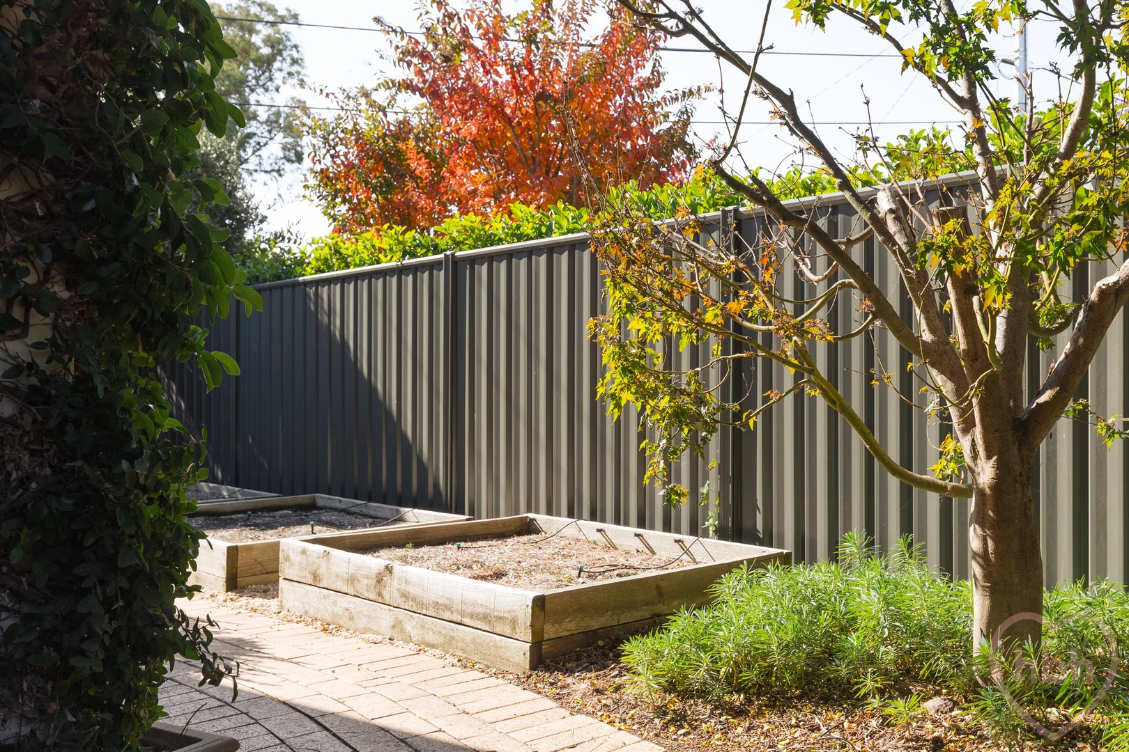 Photo of 39B Legge Street, Downer ACT 2602