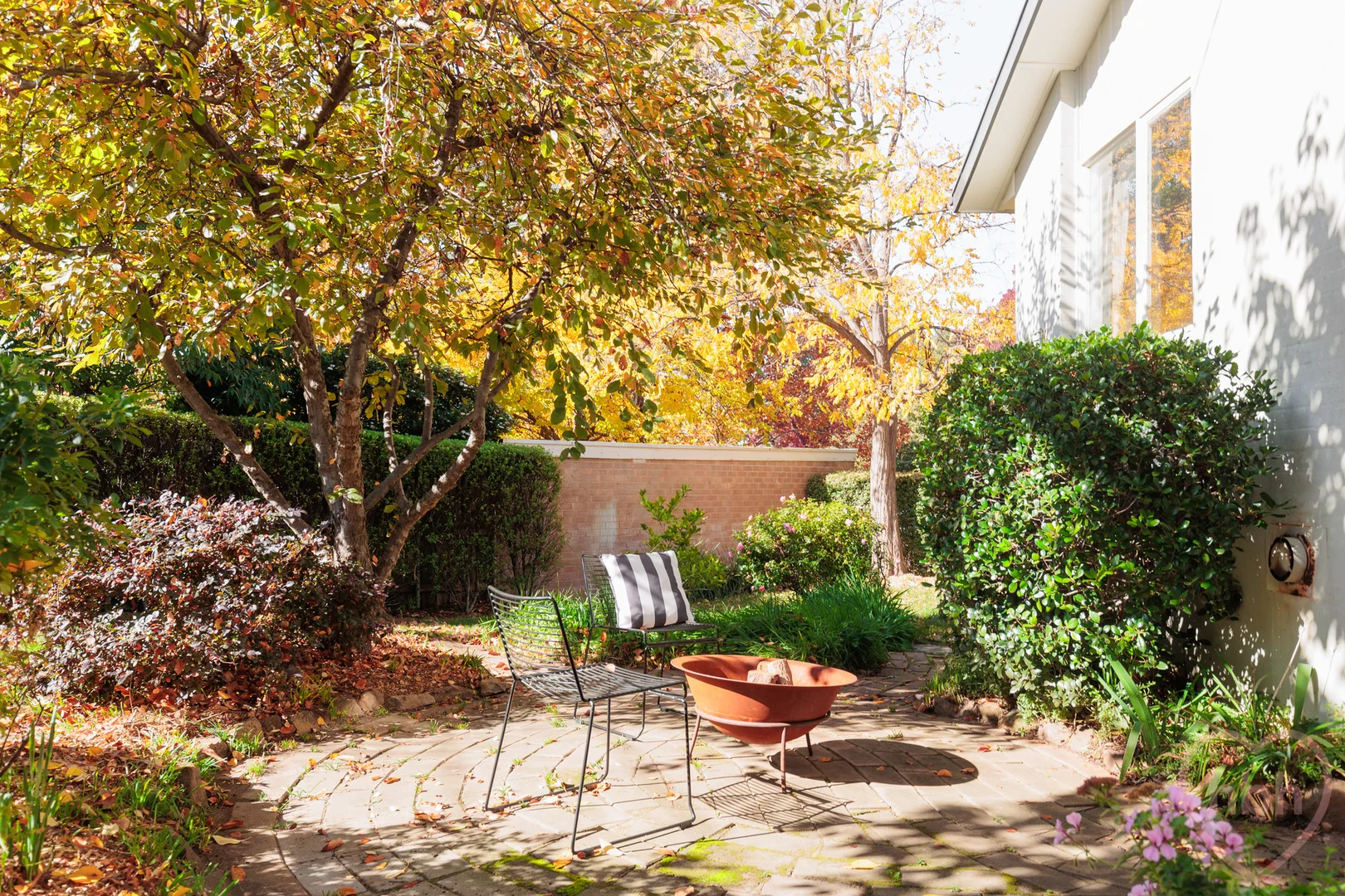 Photo of 4 Collier Street, Curtin ACT 2605