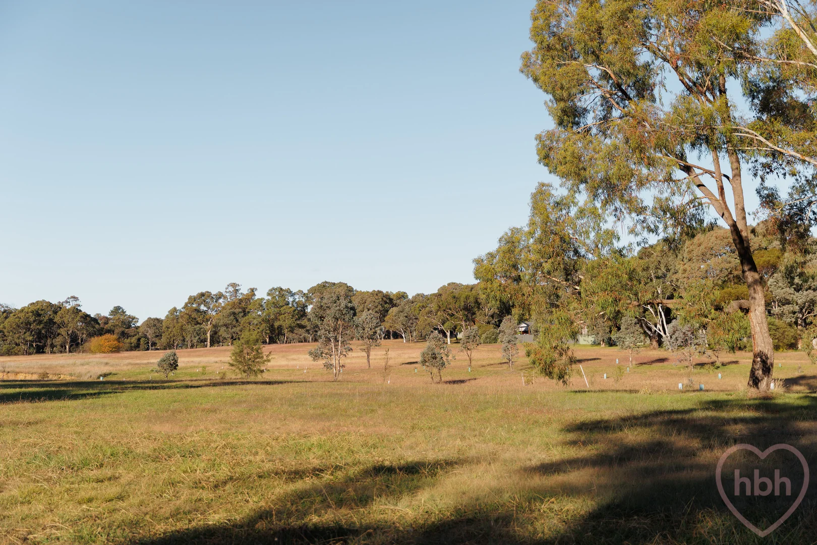 Photo of 19 Moruya Circuit, Kaleen ACT 2617