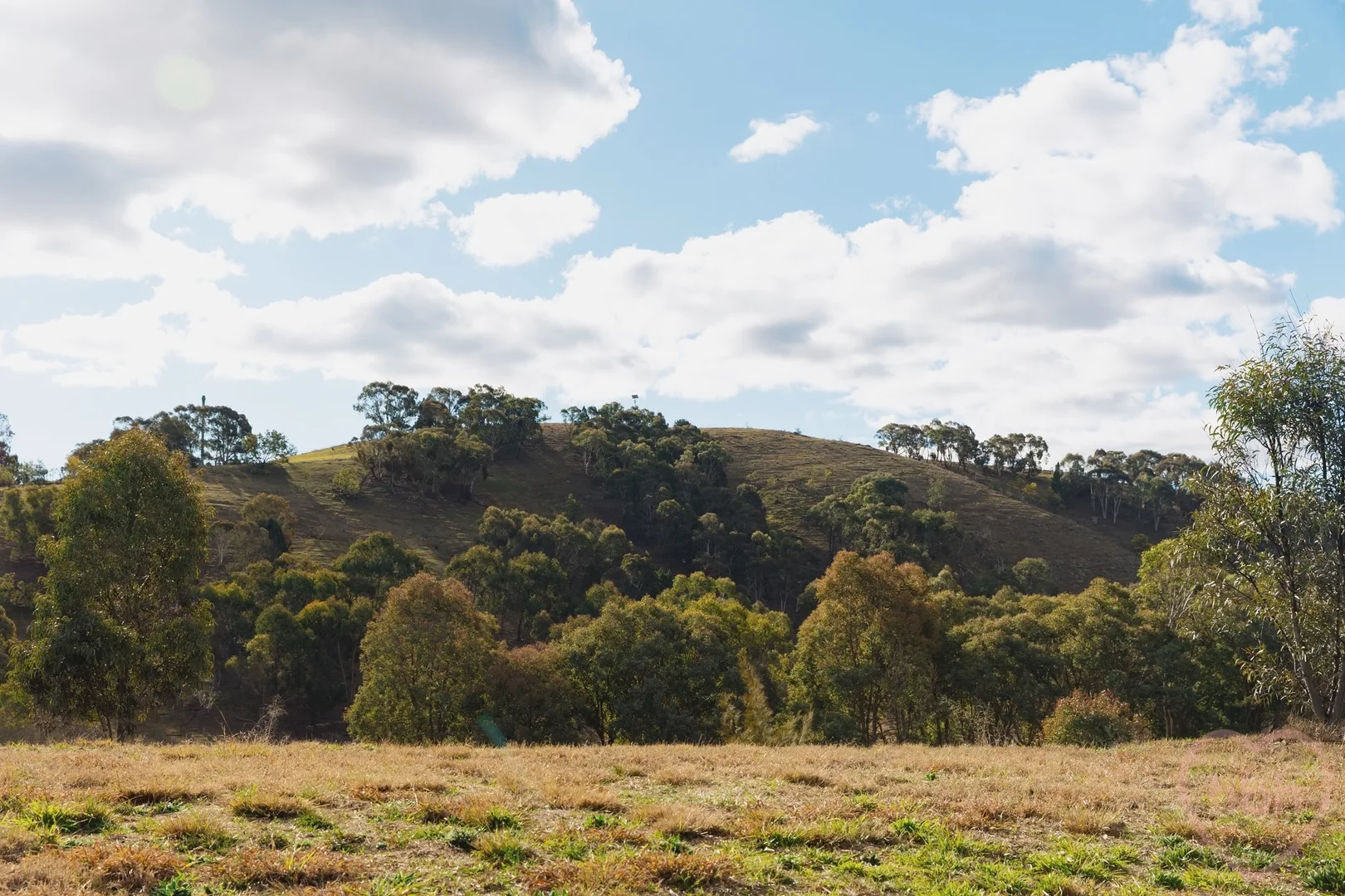 Photo of 24 Digby Circuit, Crace ACT 2911