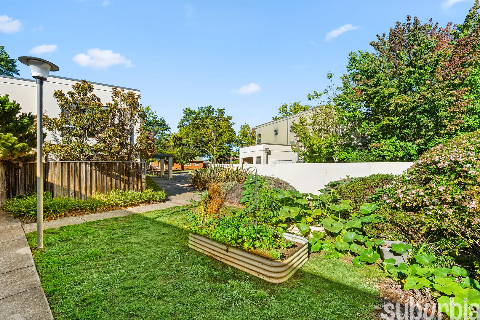 Photo of 41/193 Mouat Street, Lyneham ACT 2602