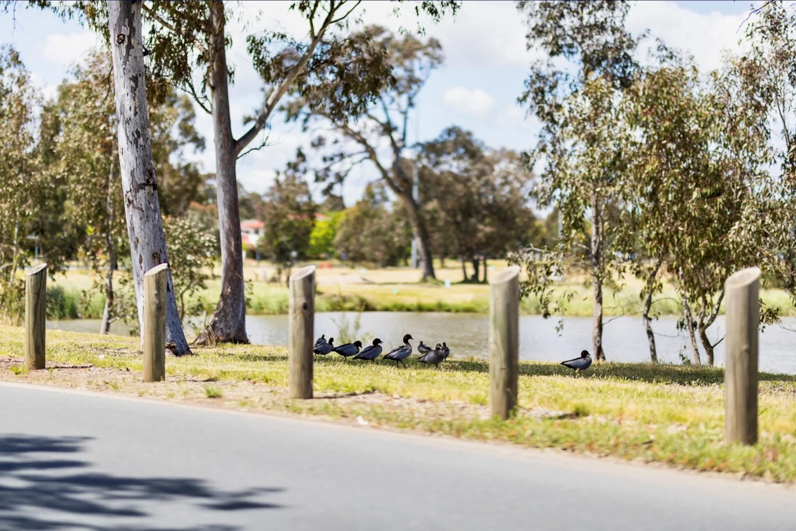 Photo of 8/42 Adder Street, Harrison ACT 2914