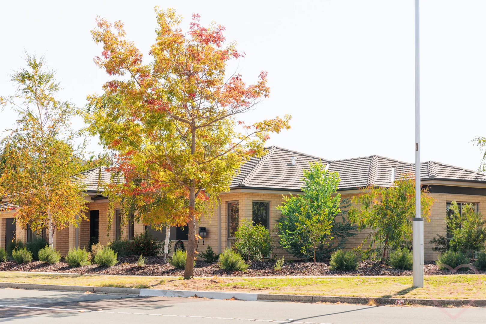 Photo of 18 Lindsay Pryor Street, Wright ACT 2611