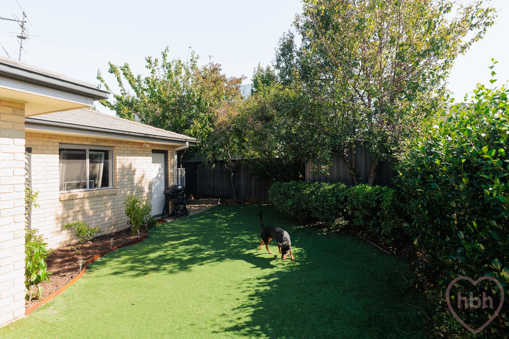 Photo of 18 Lindsay Pryor Street, Wright ACT 2611