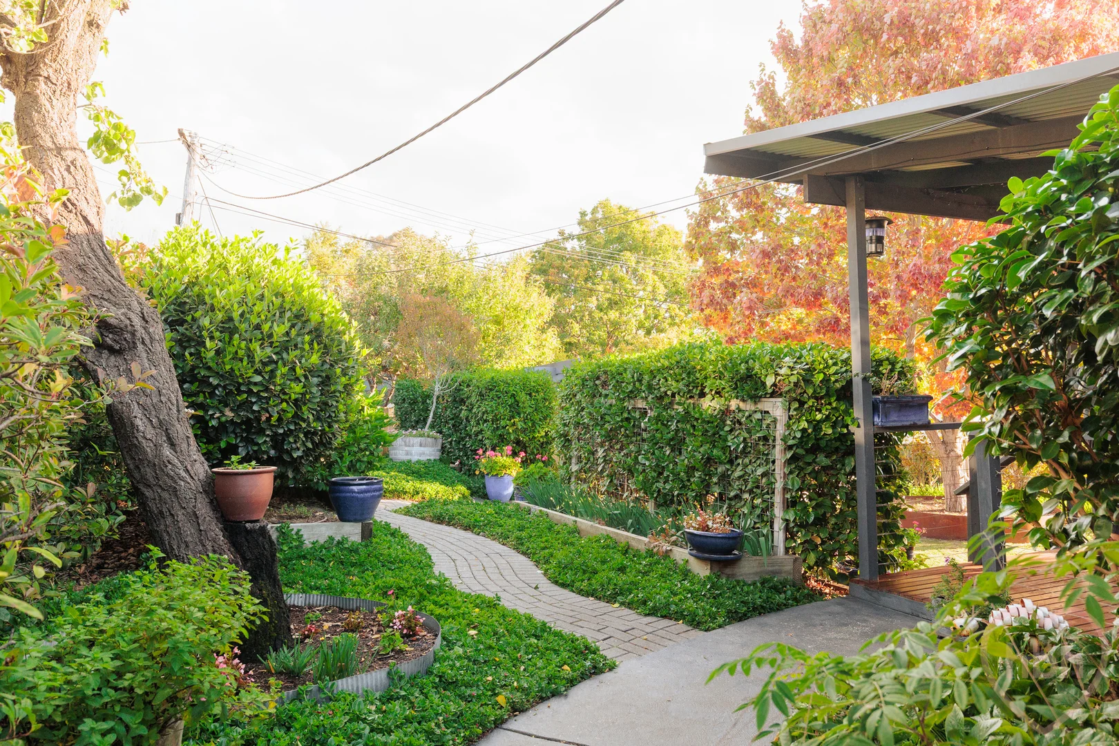 Photo of 8 Nangle Place, Giralang ACT 2617