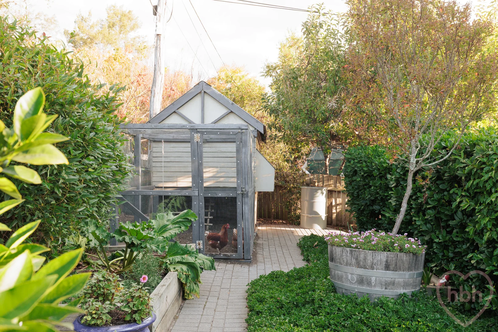 Photo of 8 Nangle Place, Giralang ACT 2617
