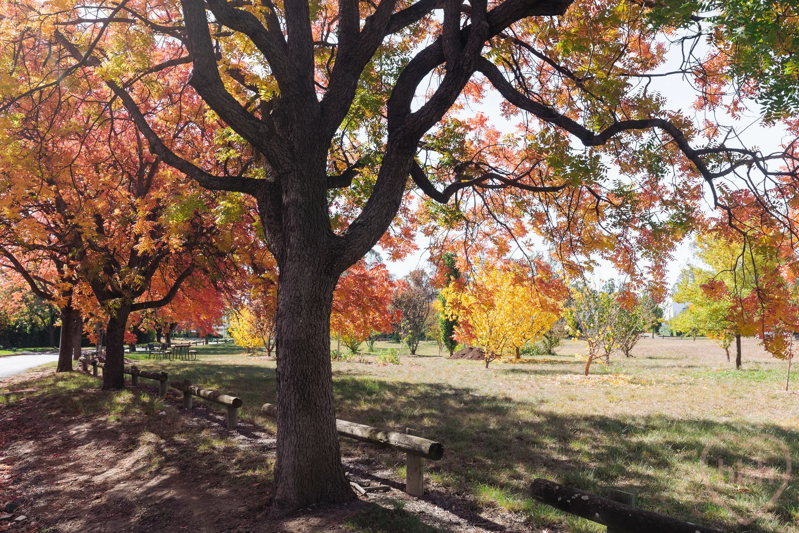 Photo of 6/49 Hampton Circuit, Yarralumla ACT 2600
