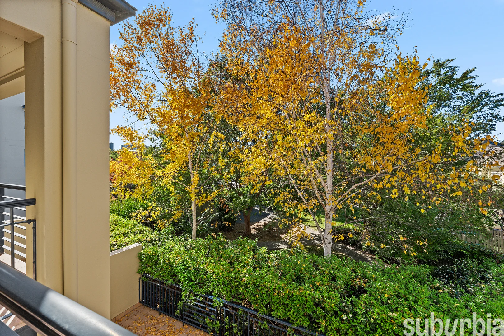 Photo of 17/2 Macleay Street, Turner ACT 2612