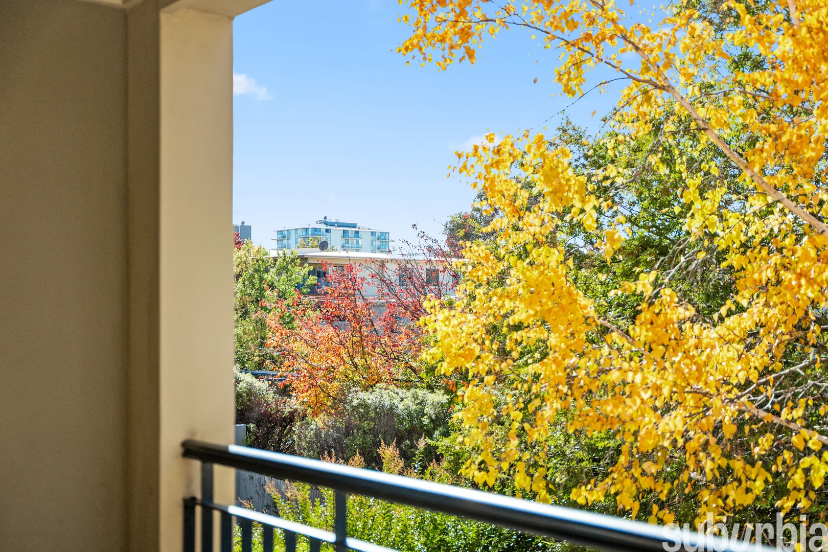 Photo of 17/2 Macleay Street, Turner ACT 2612