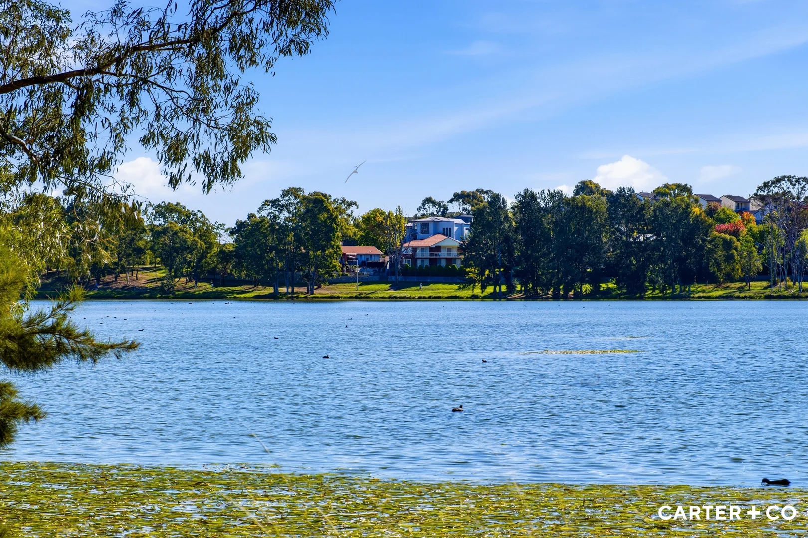 Photo of 18 Nellie Hamilton Avenue, Gungahlin ACT 2912