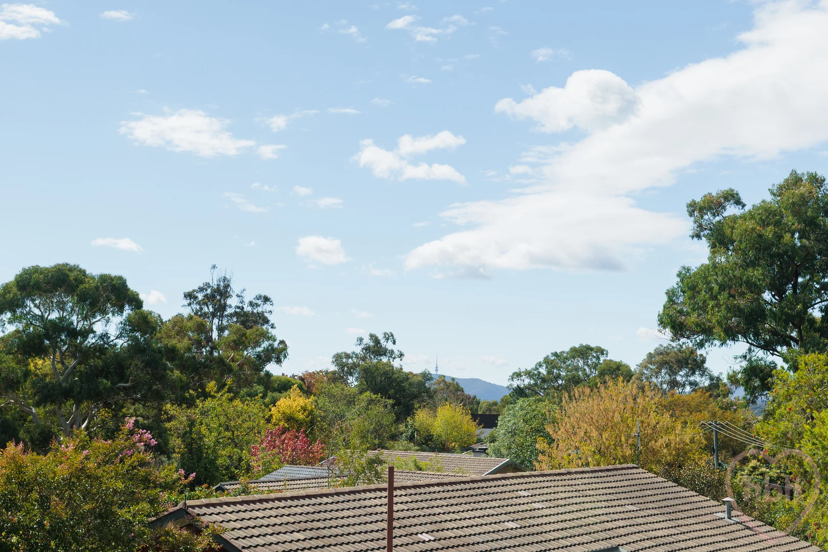 Photo of 6 Eungella Street, Duffy ACT 2611