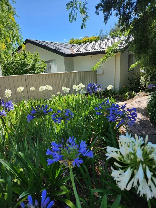 Photo of 19 Wirraway Crescent, Scullin ACT 2614